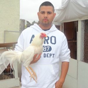 Meet your Posher, Jorge